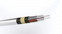 Кабель АКПсВБГ 10х10