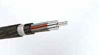 Кабель АКРВГЭ 10х6